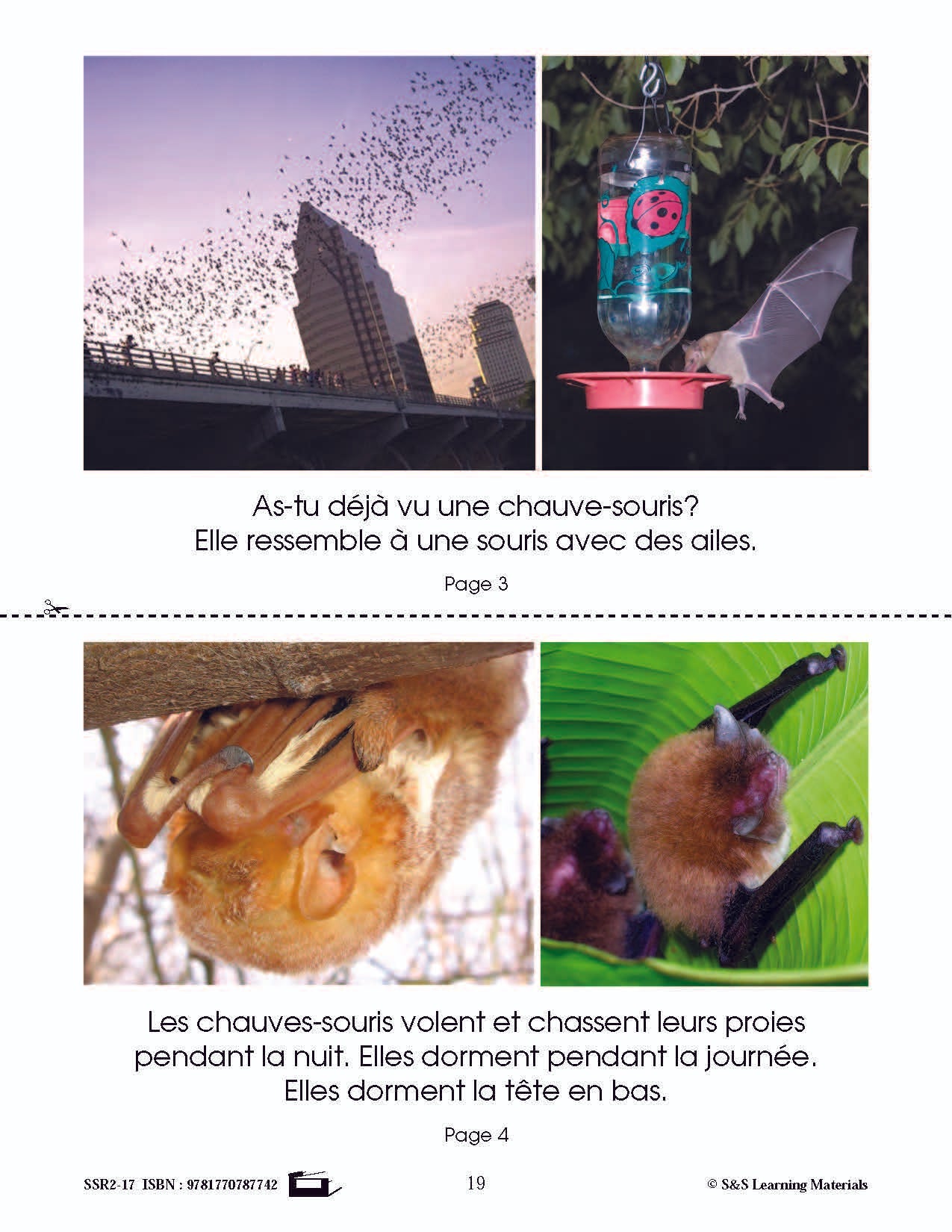 C'est un fait : Activités de compréhension de textes informatifs 1e année