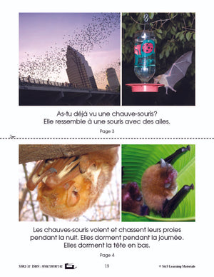 C'est un fait : Activités de compréhension de textes informatifs 1e année