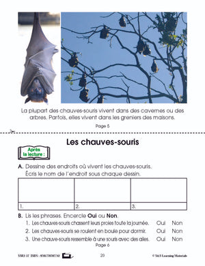 C'est un fait : Activités de compréhension de textes informatifs 1e année