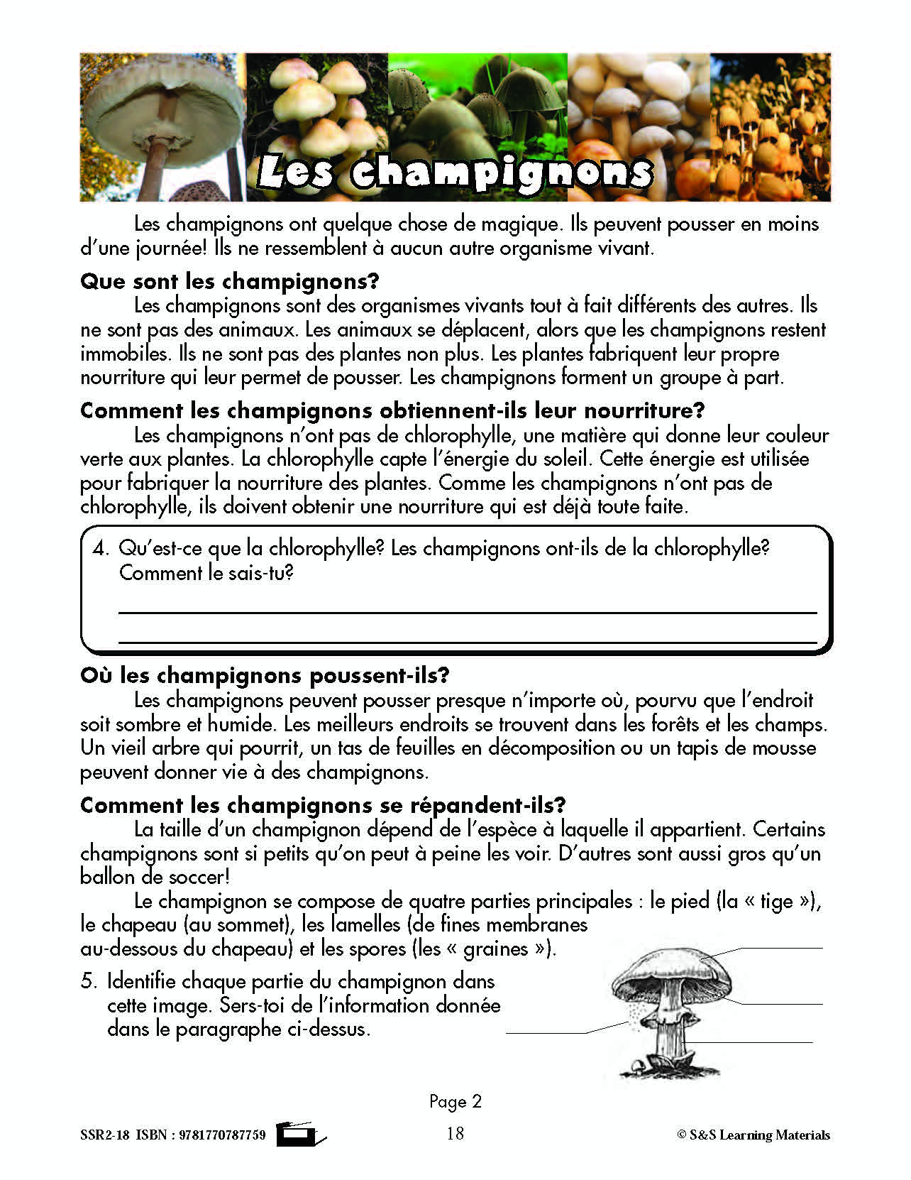 C'est un fait :  « Les champignons » 4e année