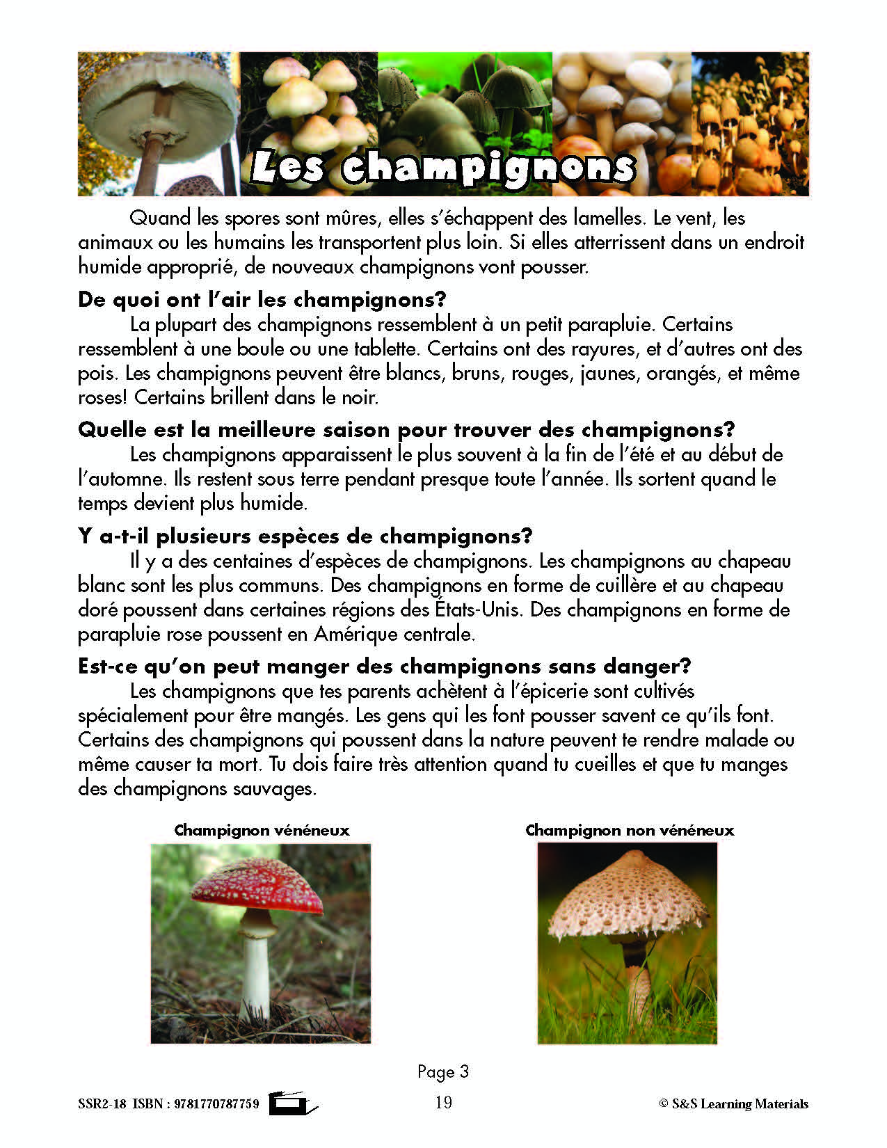 C'est un fait :  « Les champignons » 4e année