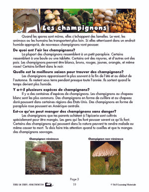 C'est un fait :  « Les champignons » 4e année