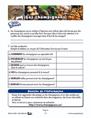 C'est un fait :  « Les champignons » 4e année