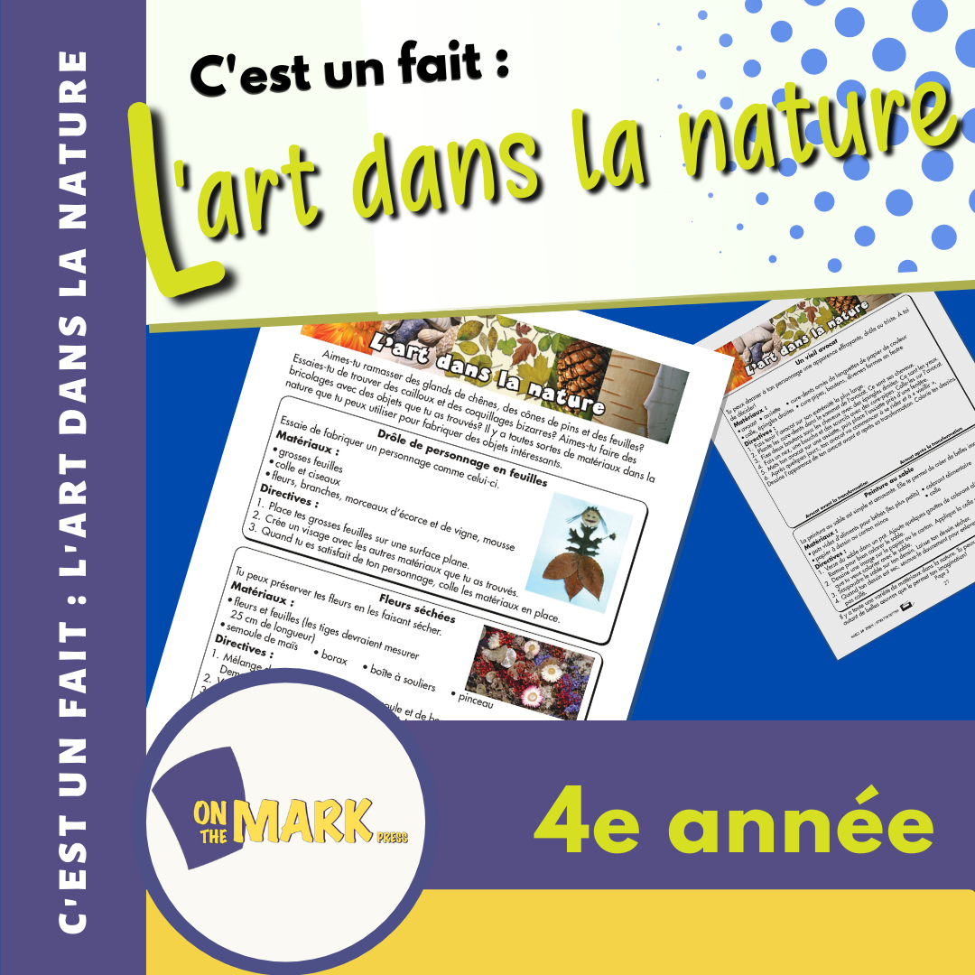 C'est un fait :  « L'art dans la nature » 4e année