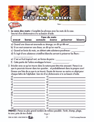 C'est un fait :  « L'art dans la nature » 4e année