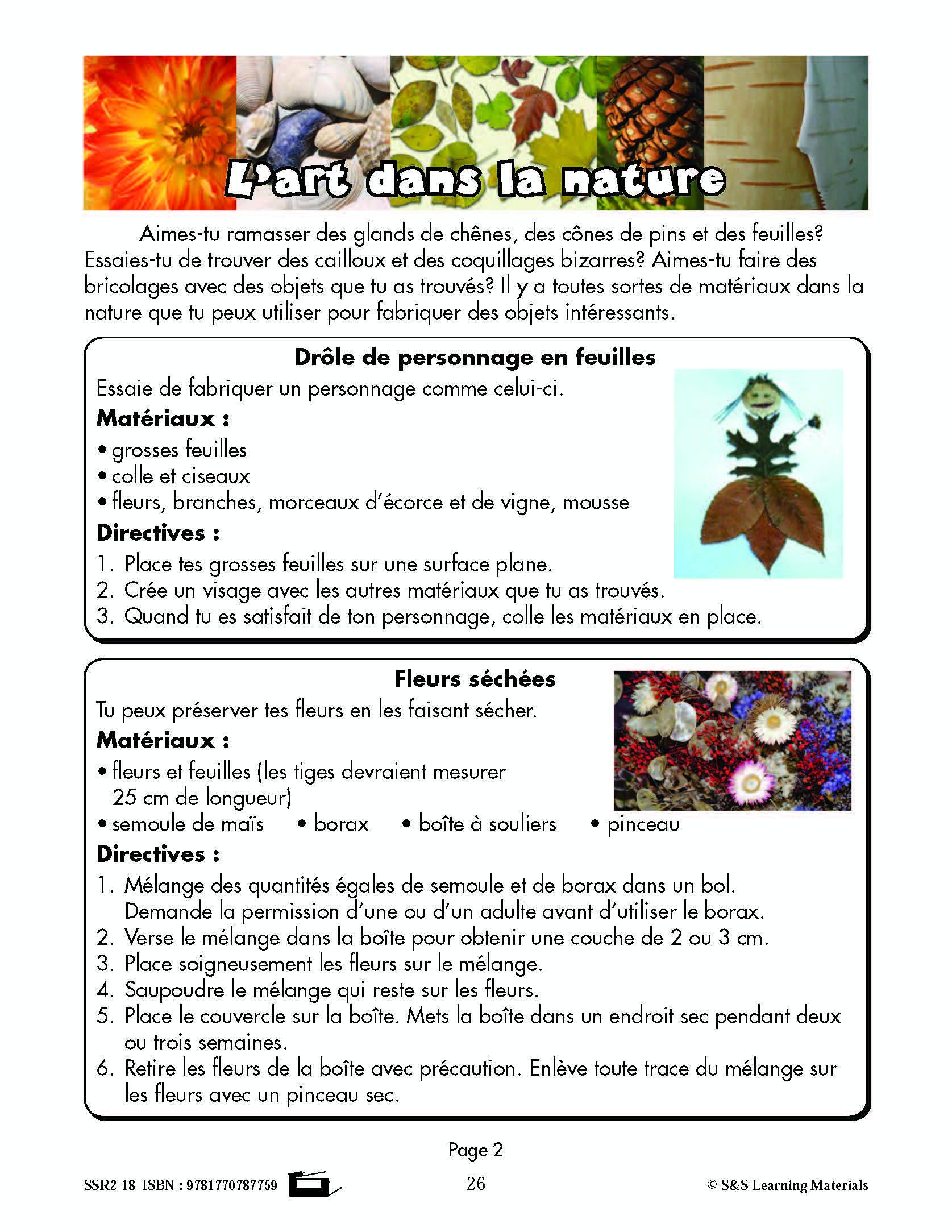 C'est un fait :  « L'art dans la nature » 4e année