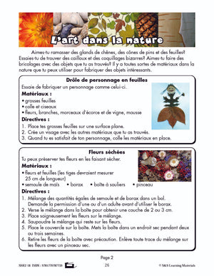 C'est un fait :  « L'art dans la nature » 4e année