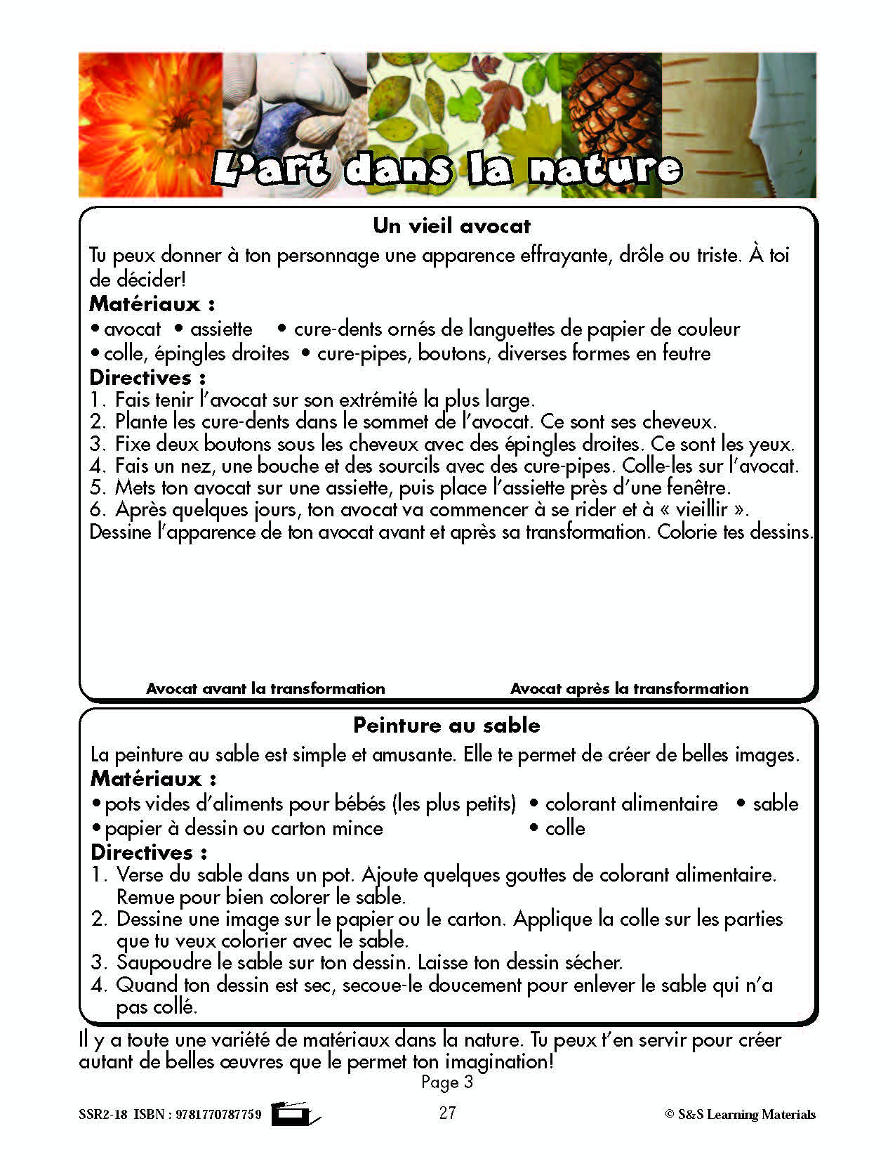 C'est un fait :  « L'art dans la nature » 4e année