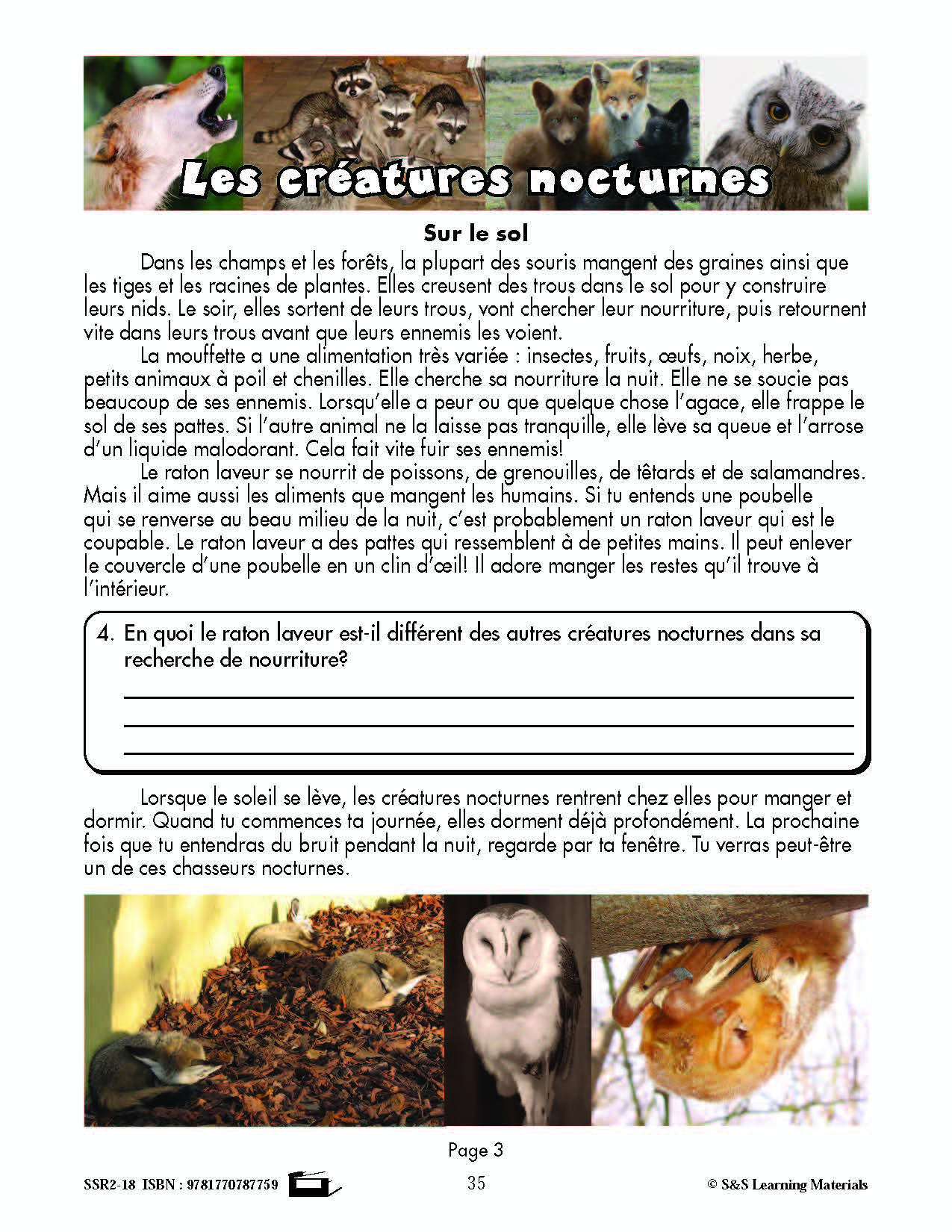 C'est un fait :  « Les créatures nocturnes » 4e année