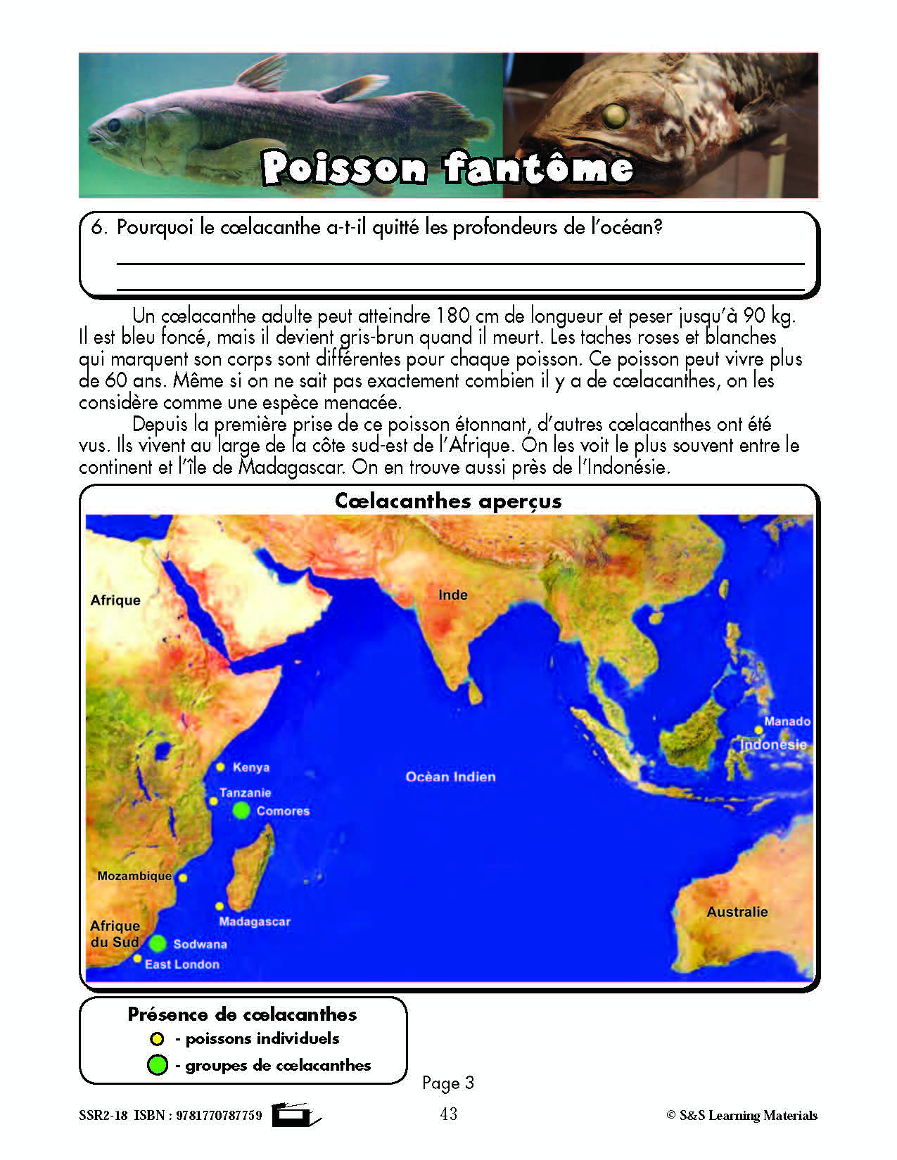 C'est un fait :  « Poisson fantôme » 5e année