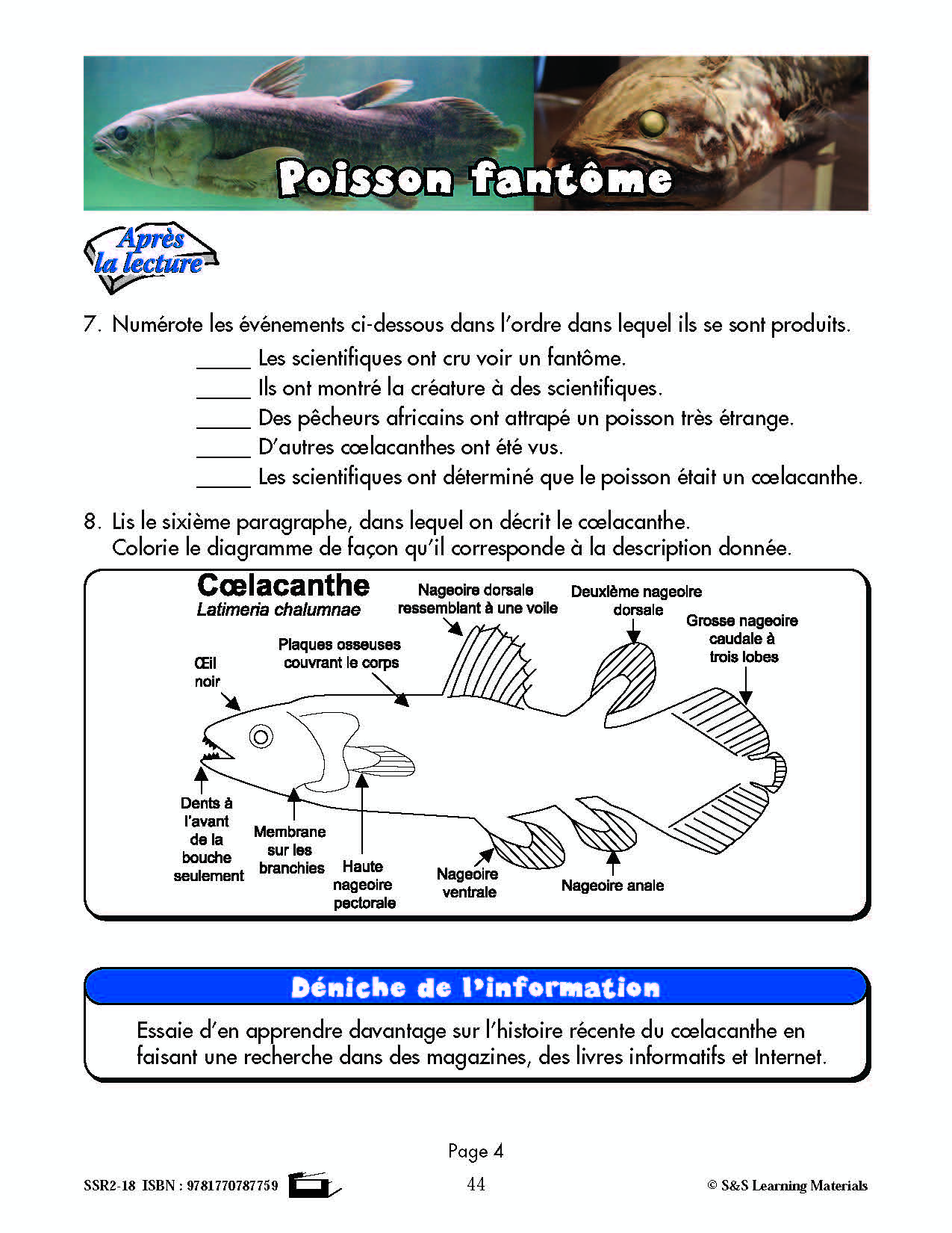 C'est un fait :  « Poisson fantôme » 5e année