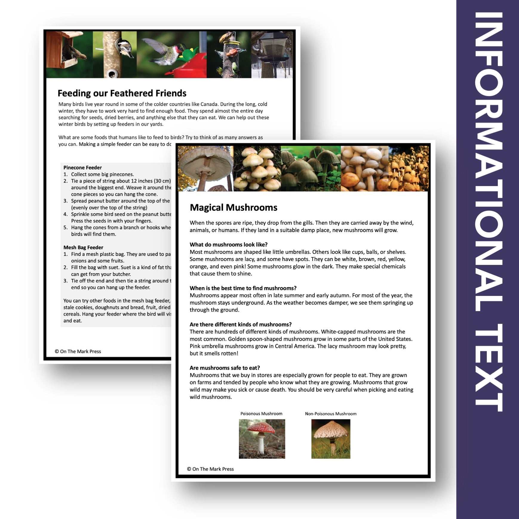 Just the Facts: Non-Fiction Reading Grade 4 Digital Google Slides Activities