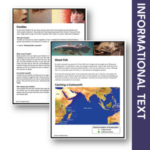 Just the Facts: Non-Fiction Reading Grade 5 Digital Google Slides Activities