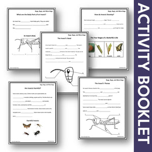 Bugs, Bugs & More Bugs Reproducible Student Booklet Grades 2-3 Google Slides & Printables