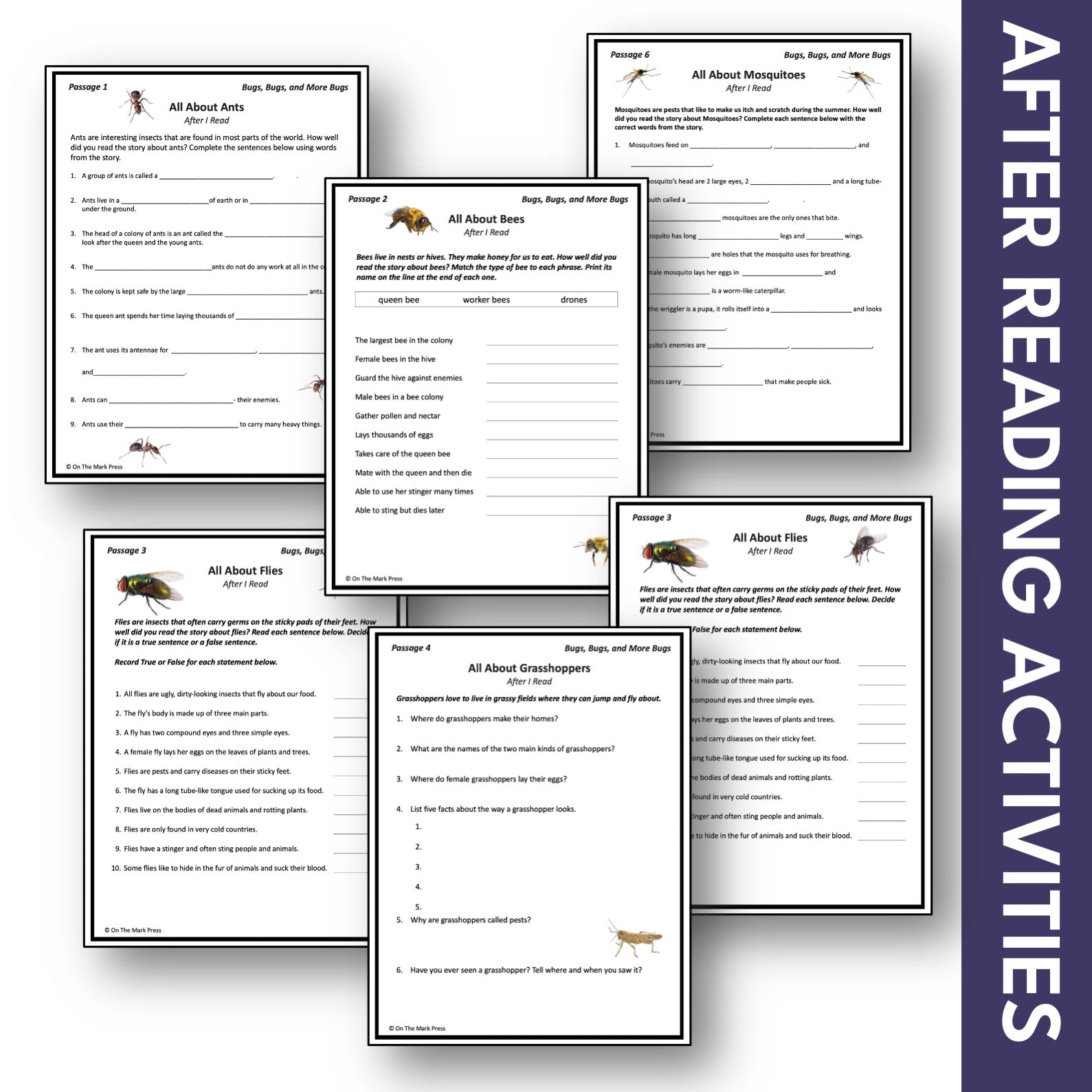 Bugs, Bugs & More Bugs Reading Information Stories Grades 2-3 Google Slides & Printables