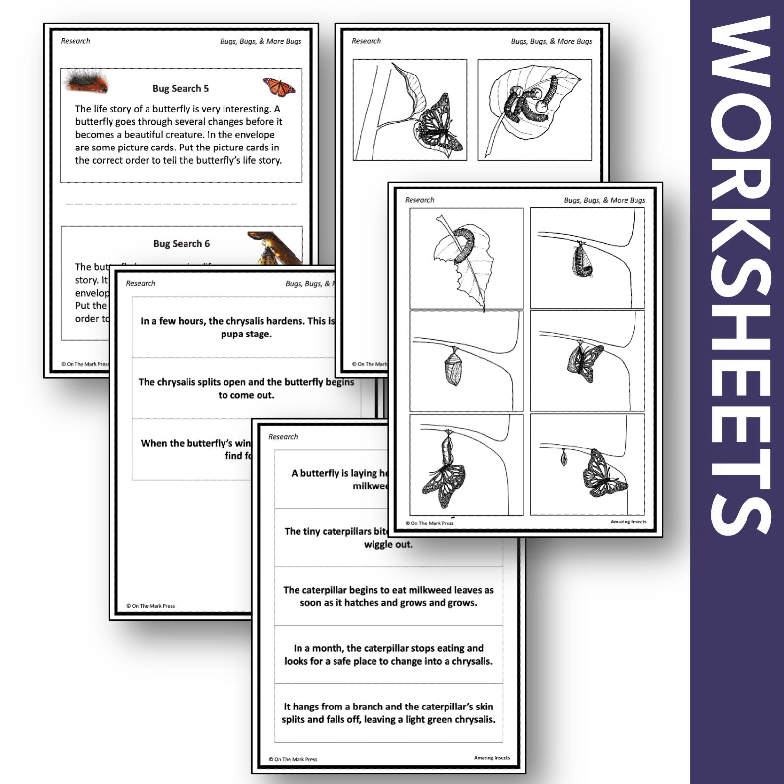 Bugs, Bugs & More Bugs Research Activities Grades 2-3 Google Slides & Printables
