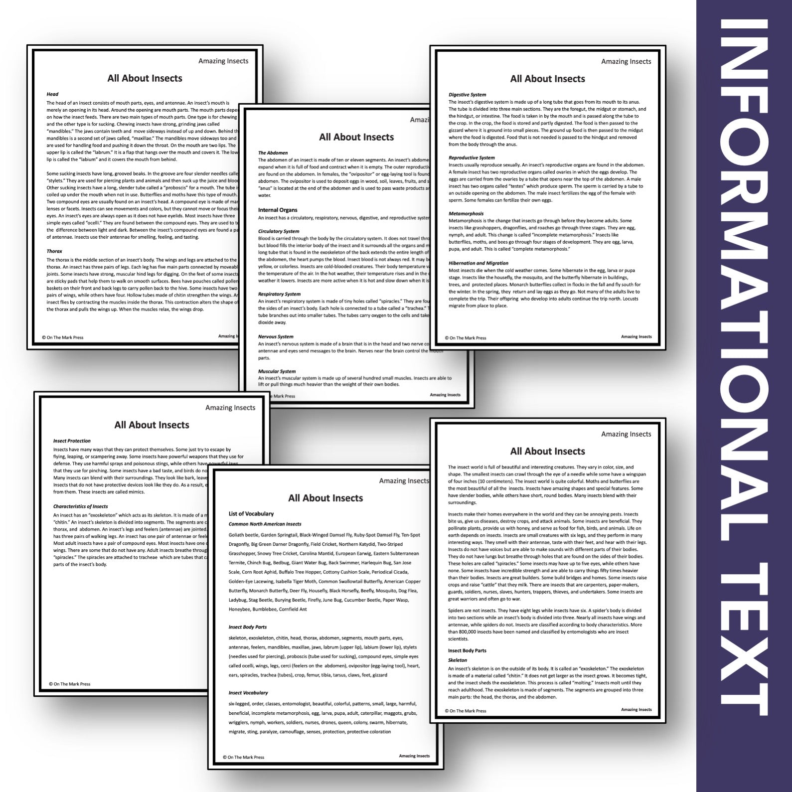 Amazing Insects Student Booklet Grades 4-6 - Google Slides & Printables!