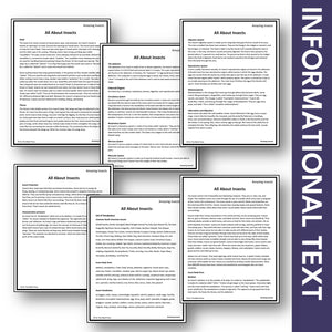 Amazing Insects Student Booklet Grades 4-6 - Google Slides & Printables!