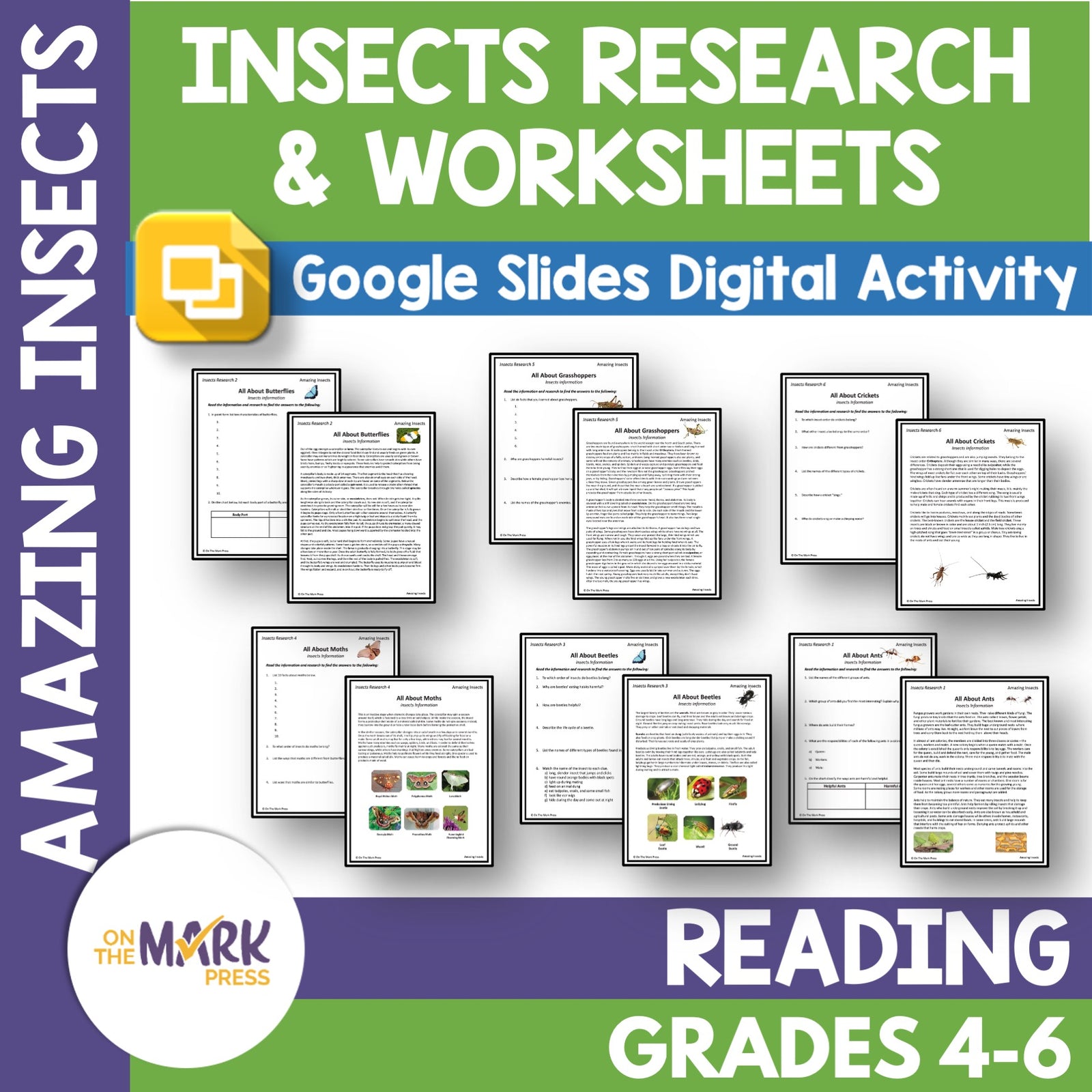 Amazing Insect: 6 Information Research Topics Grades 4-6 Google Slides & Printables