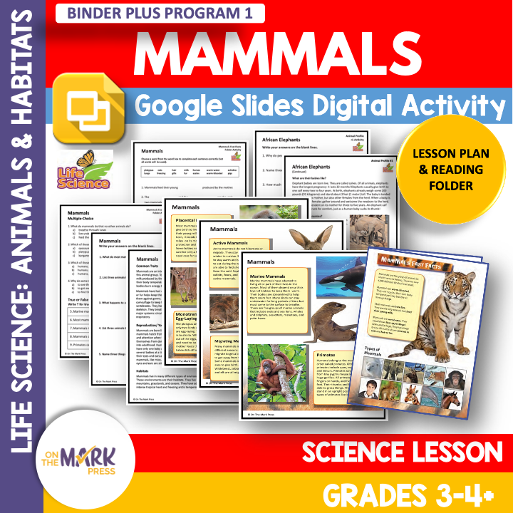 Mammals - Activities & Full Color Reading Folder Grades 3-4+ Google Slides Distance Learning