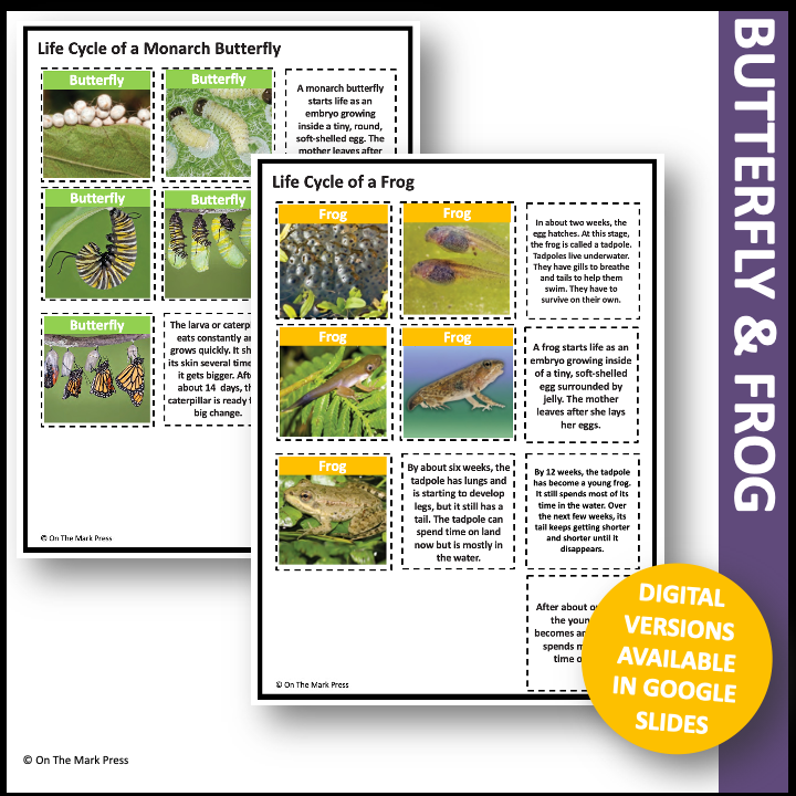 Animal Life Cycle Photo Cards & Templates, Grade 3-4+ Google Slides Ontario Grade 2 Life Systems