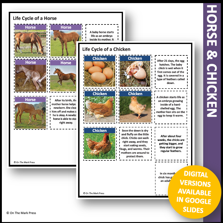 Animal Life Cycle Photo Cards & Templates, Grade 3-4+ Google Slides Ontario Grade 2 Life Systems
