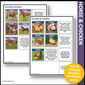 Animal Life Cycle Photo Cards & Templates, Grade 3-4+ Google Slides Ontario Grade 2 Life Systems