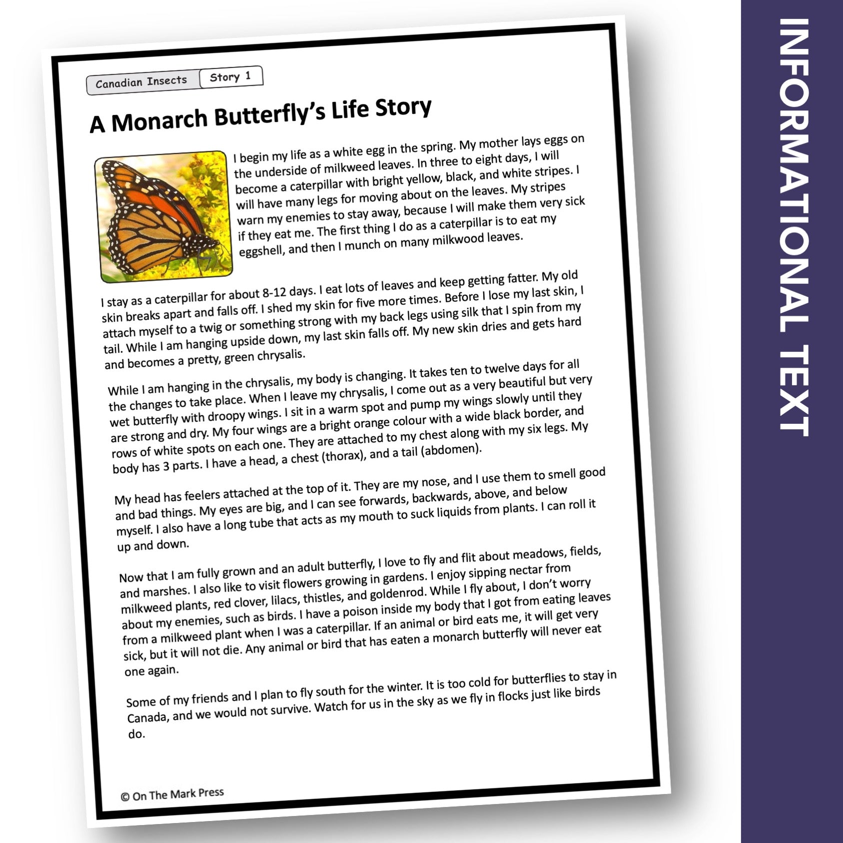 Canadian Insects: Monarch Butterfly's Life Story Reading Gr 1-3 Google Slides