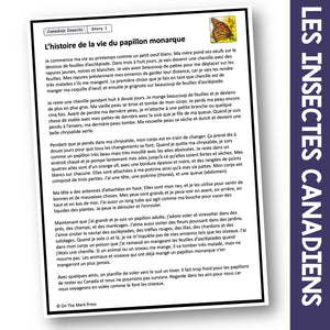 L’histoire de la vie du papillon monarque 2e-3e année Google glisse l’activité numérique