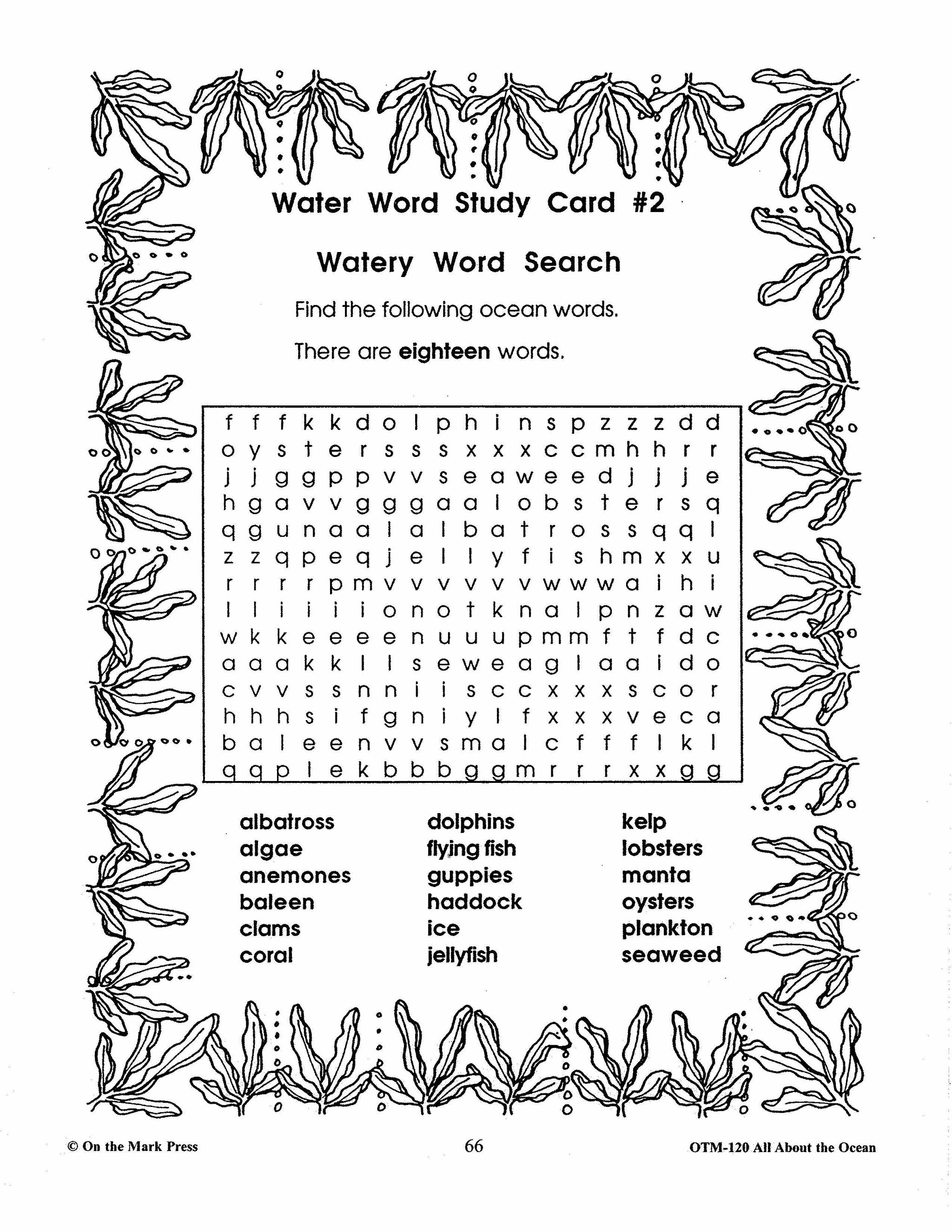 All About the Ocean Grades 5-7