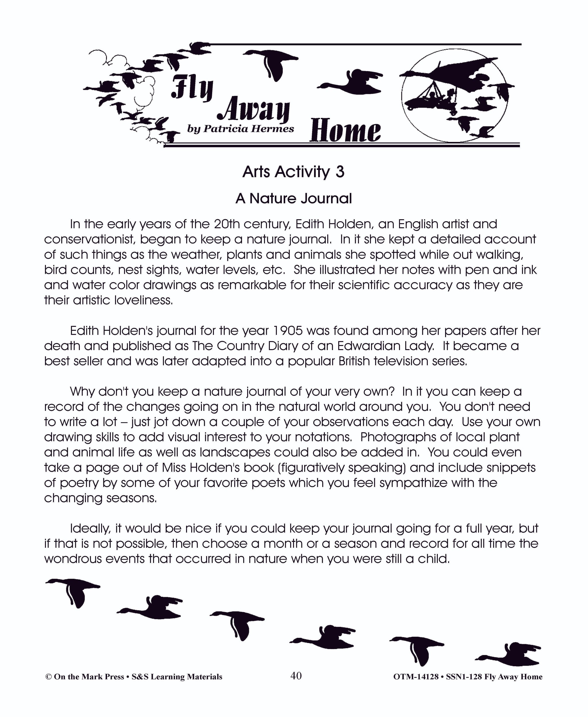 Fly Away Home, by Patricia Hermes Lit Link Grades 4-6