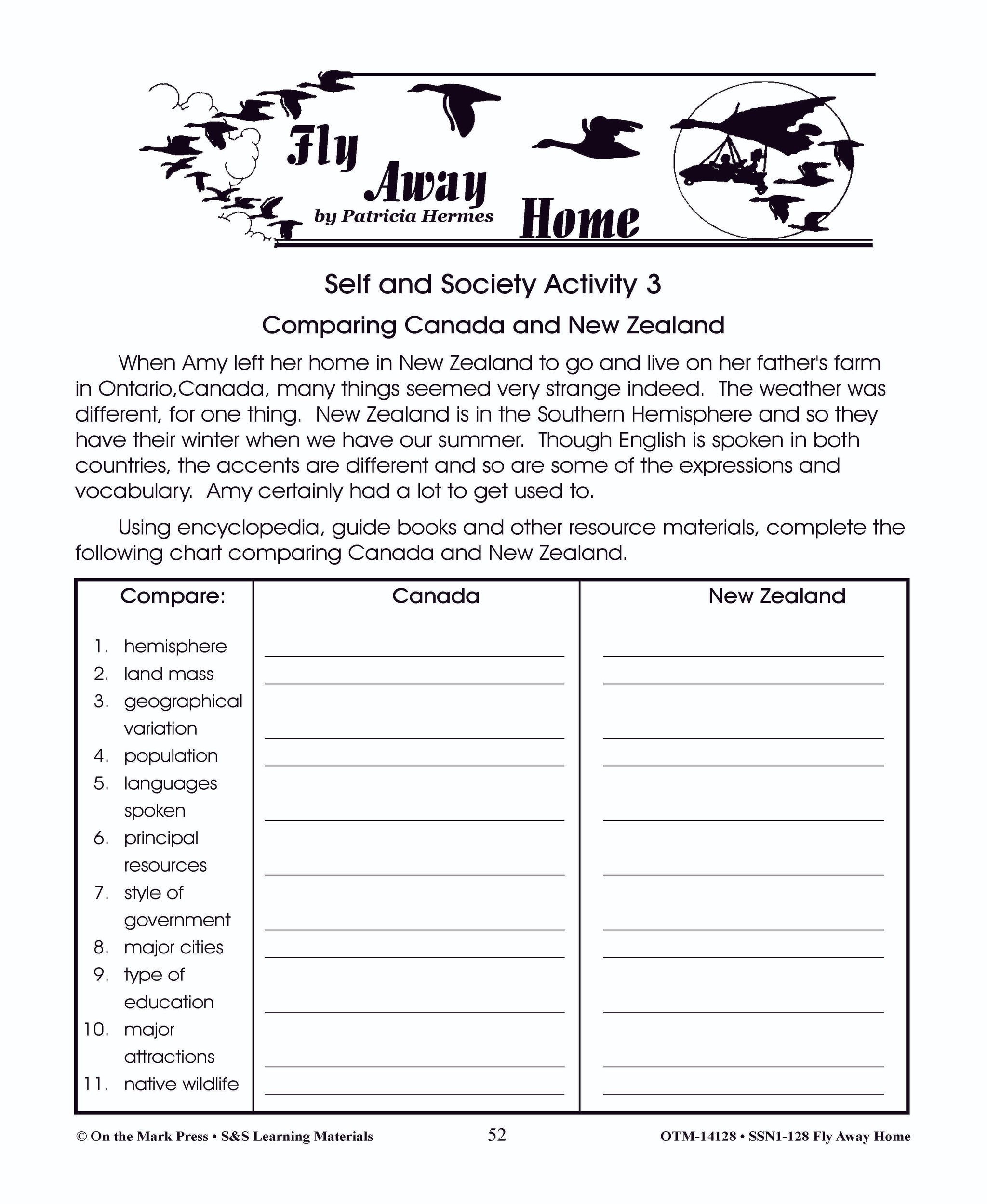 Fly Away Home, by Patricia Hermes Lit Link Grades 4-6