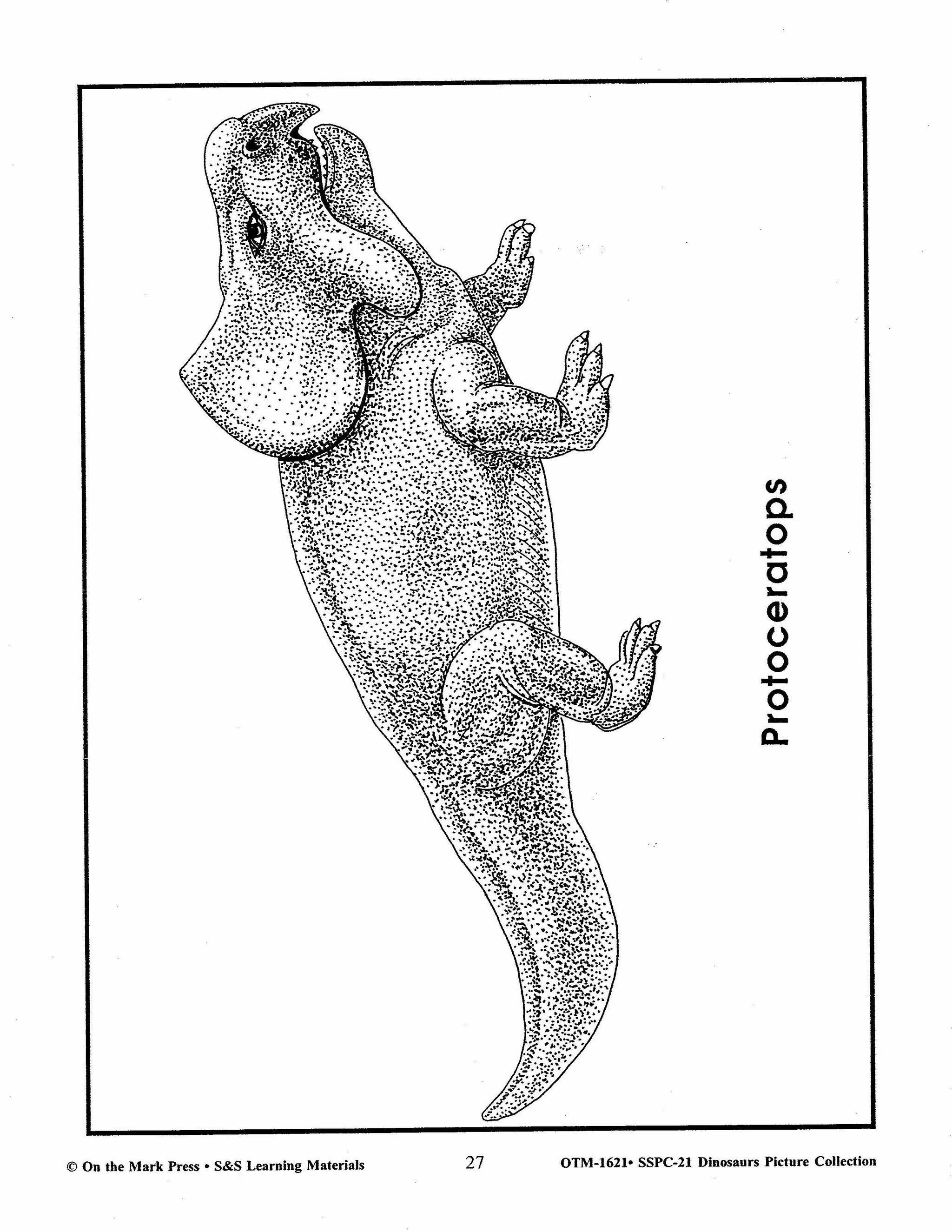 Dinosaurs Black & White Picture Collection Grades K-8