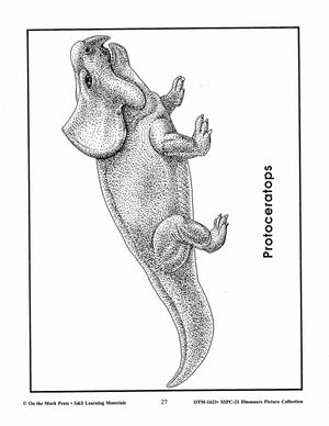 Dinosaurs Black & White Picture Collection Grades K-8