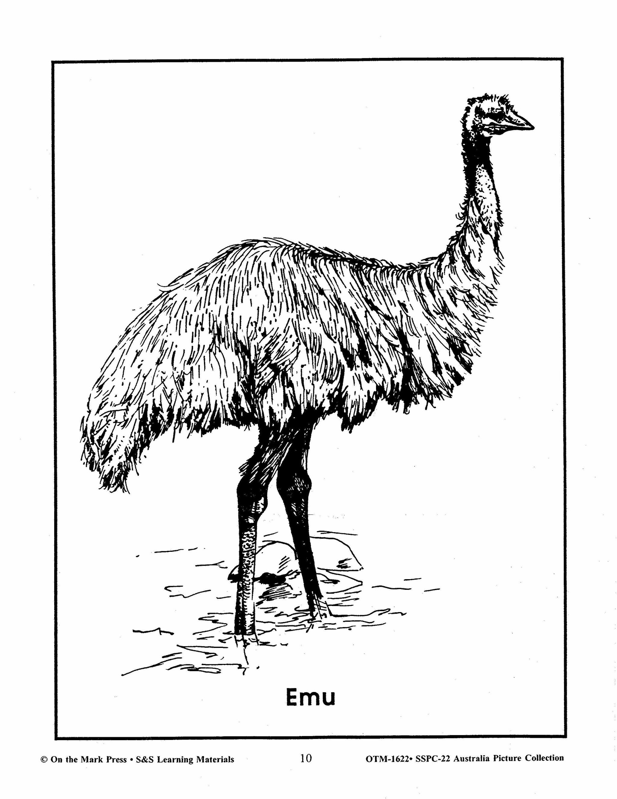 Australia Black & White Picture Collection Grades 2-6