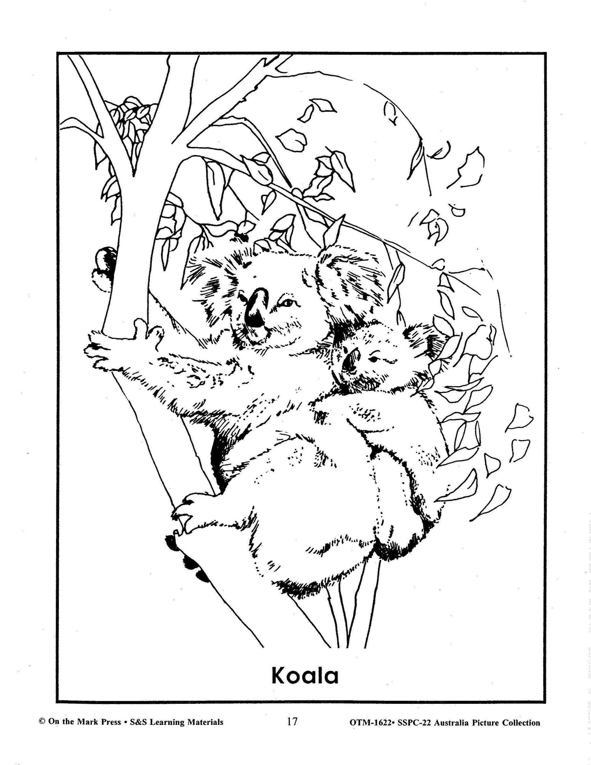 Australia Black & White Picture Collection Grades 2-6