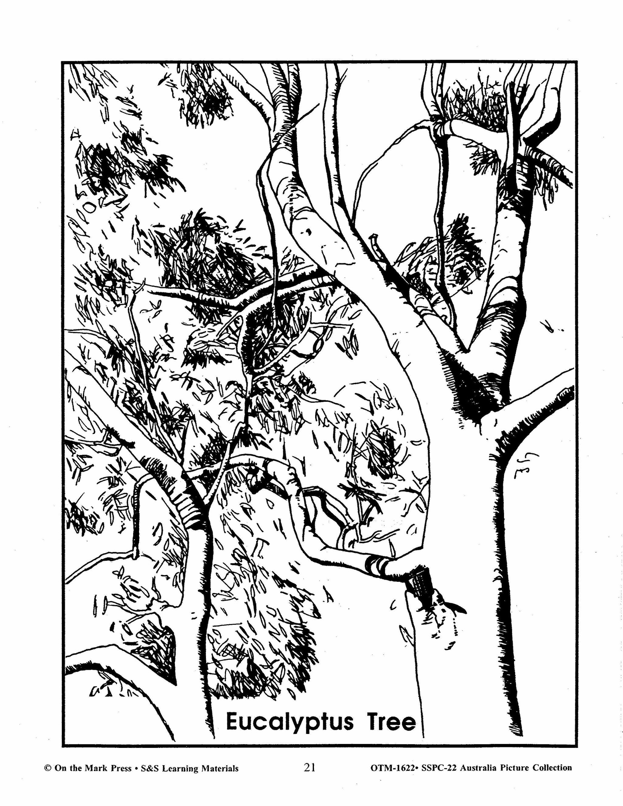 Australia Black & White Picture Collection Grades 2-6