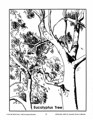 Australia Black & White Picture Collection Grades 2-6