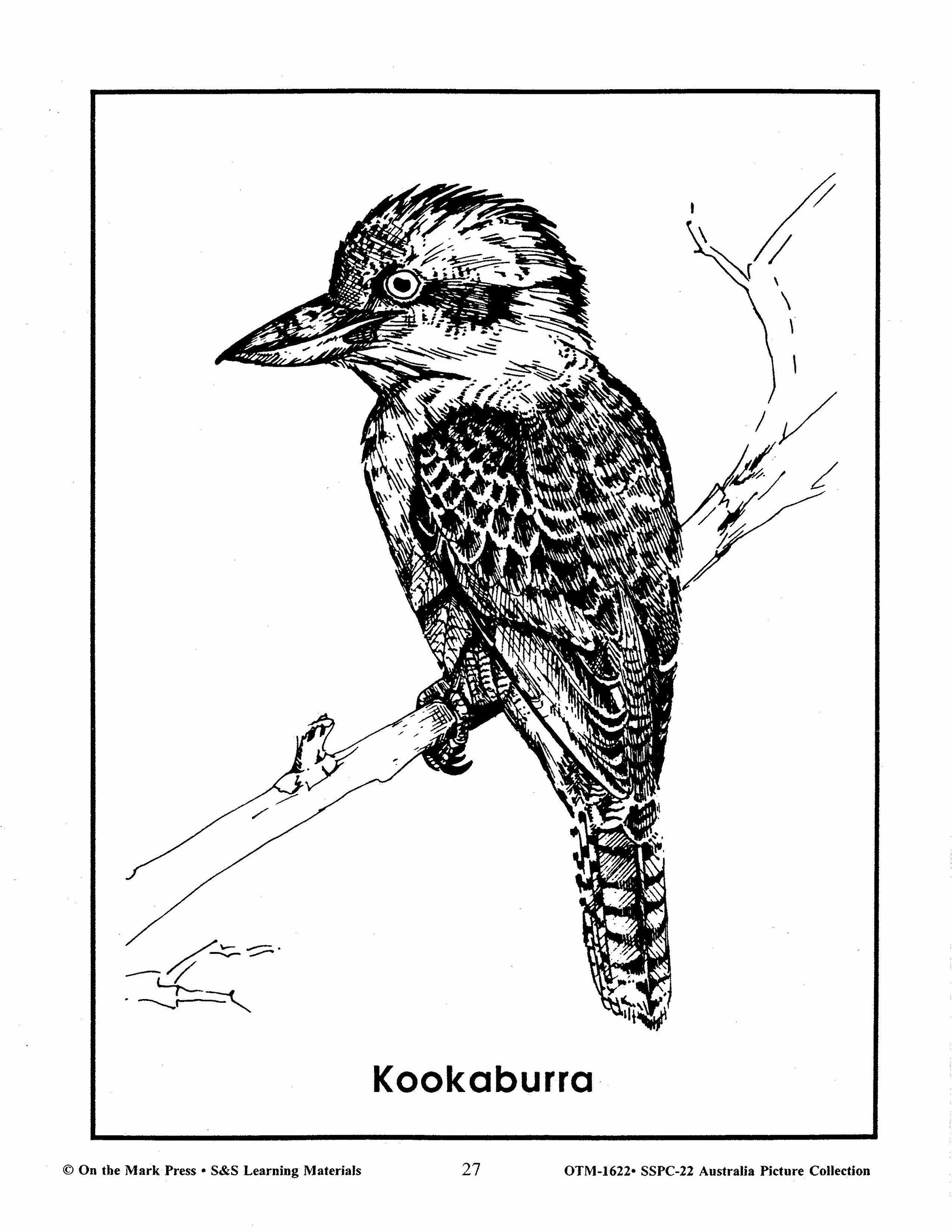 Australia Black & White Picture Collection Grades 2-6