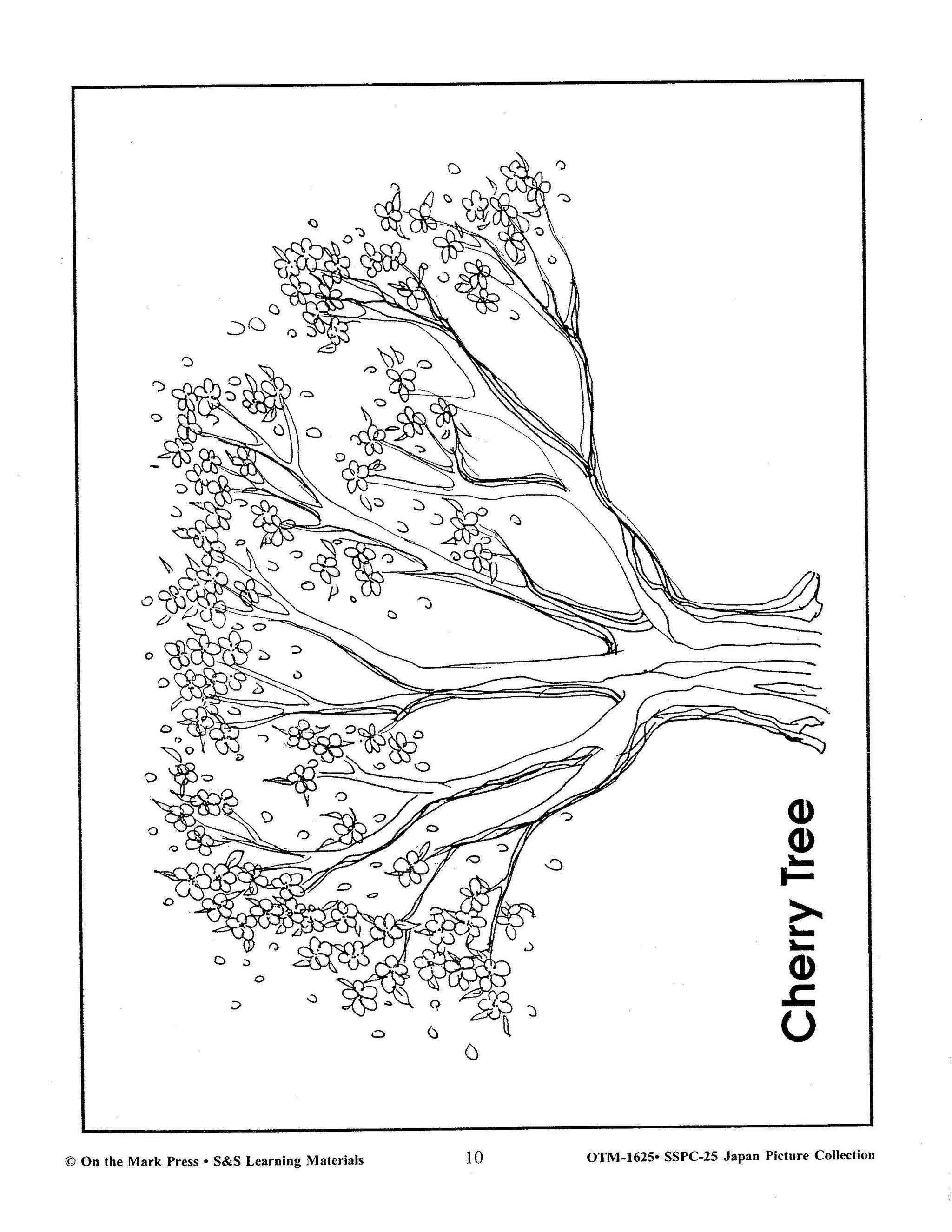 Japan Black & White Picture Collection Grades 2-8