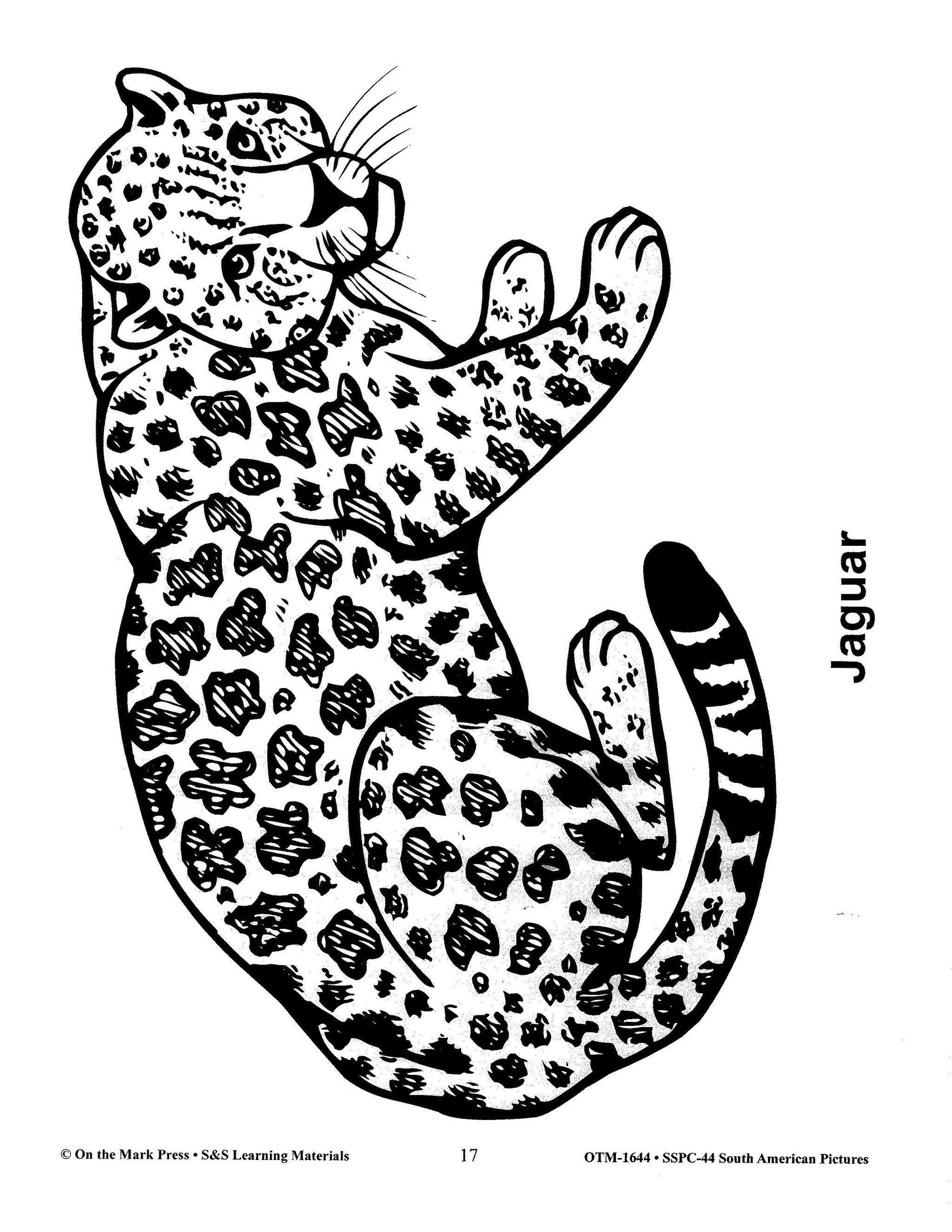 South America Black & White Picture Collection Grades 2-8