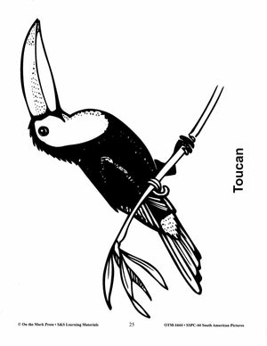 South America Black & White Picture Collection Grades 2-8