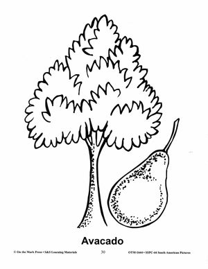 South America Black & White Picture Collection Grades 2-8