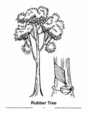 South America Black & White Picture Collection Grades 2-8