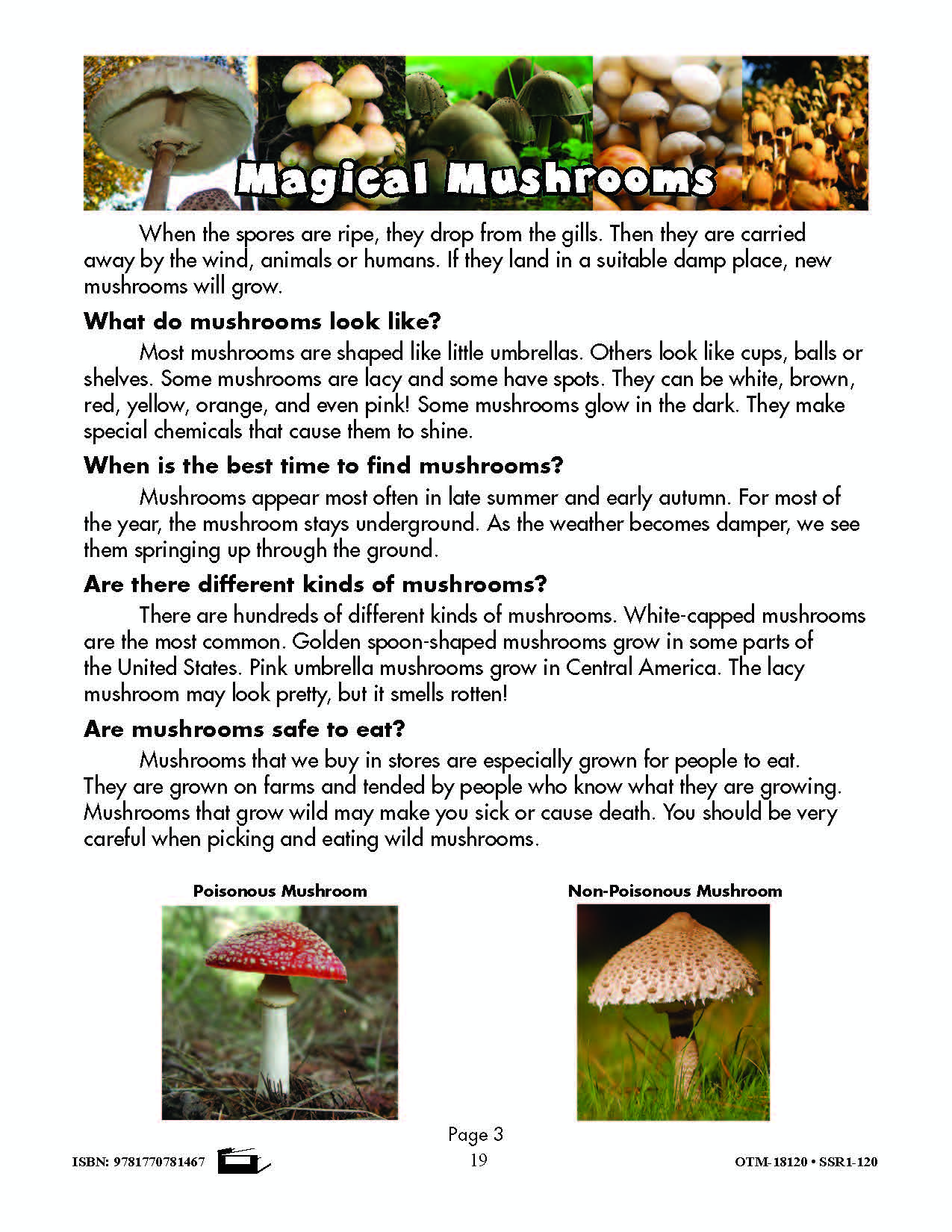 It's a Fact! Develop Non-Fiction Reading Skills Grades 4-6