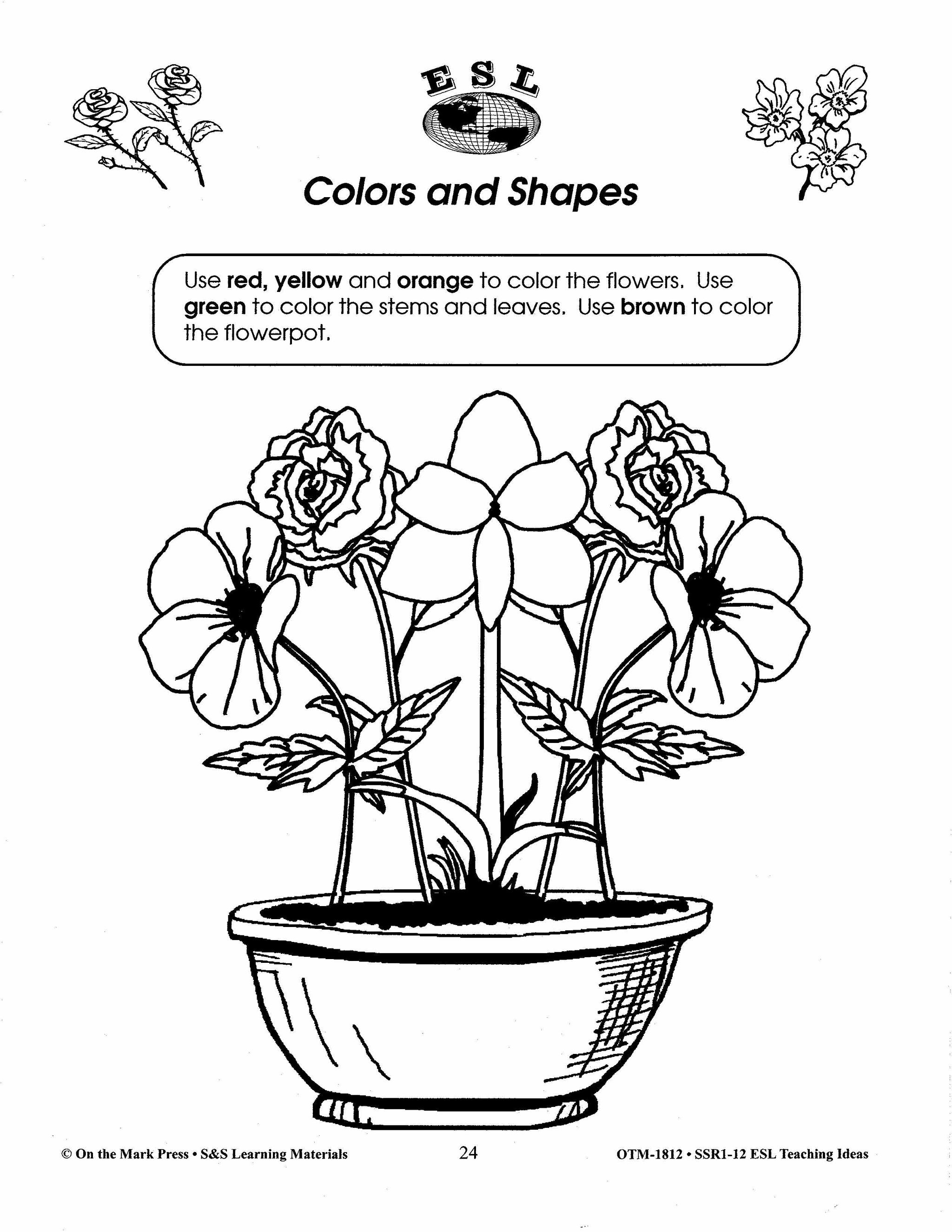 ESL Teaching Ideas Grades Kindergarten to Grade 8