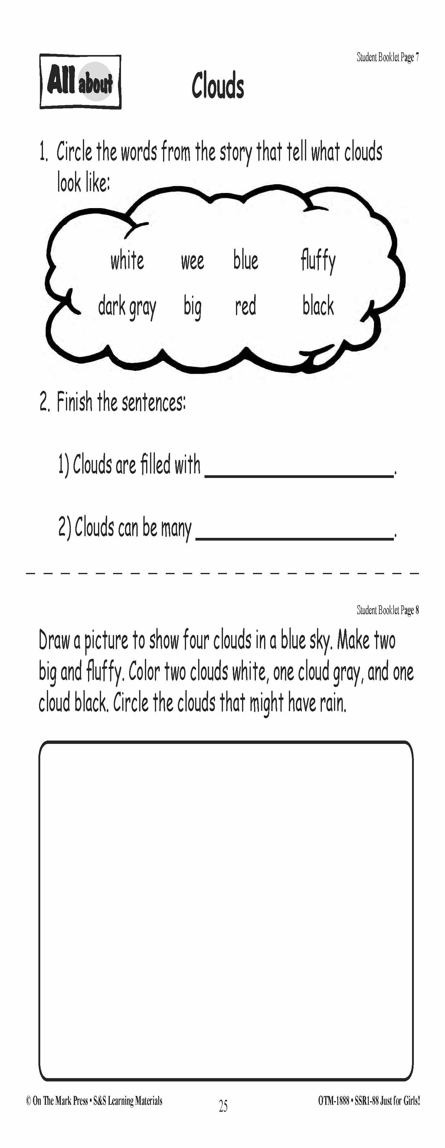 Just for Girls Grades 1-3 Reading Comprehension