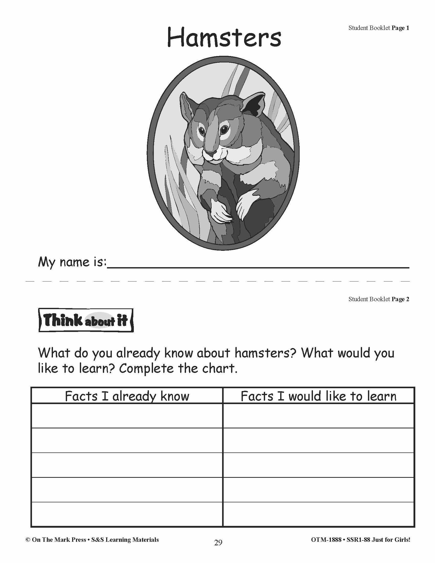 Just for Girls Grades 1-3 Reading Comprehension