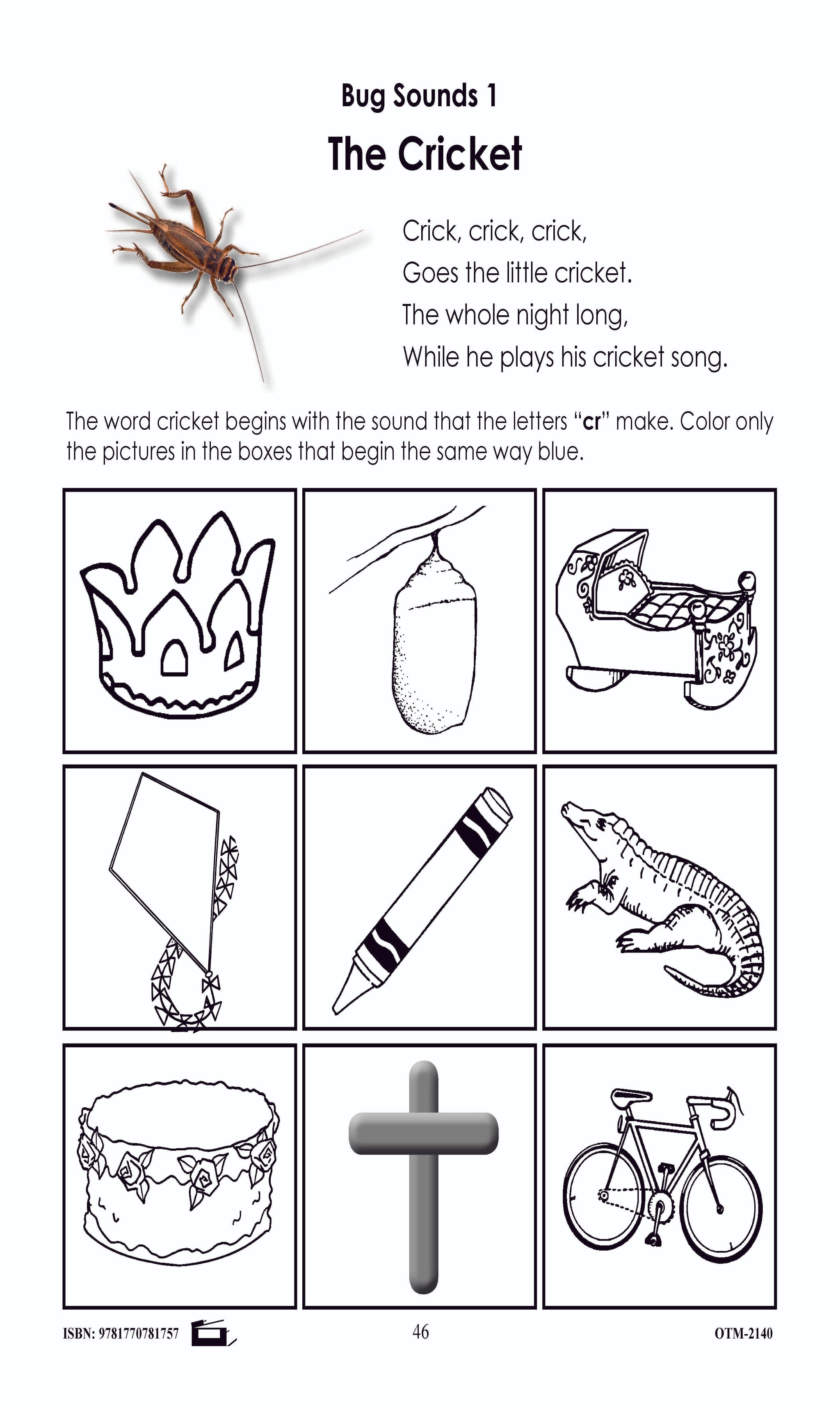 Beautiful Bugs and Insect Activities Grade K-1