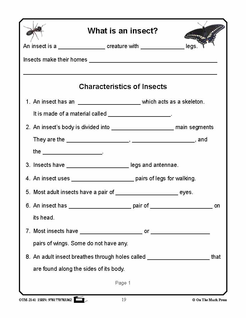 Amazing Insects Reading Worksheets and Cross - Curricular Activities Grades 4-6